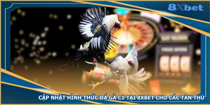 cap-nhat-hinh-thuc-da-ga-c1-tai-8xbet-cho-cac-tan-thu